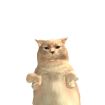 @catkid2030