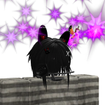 @wl6n6