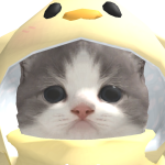 gatito