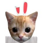@veMir