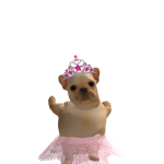 @aquirizx