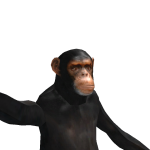 @MrShortsYT5
