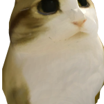 @Zynniee
