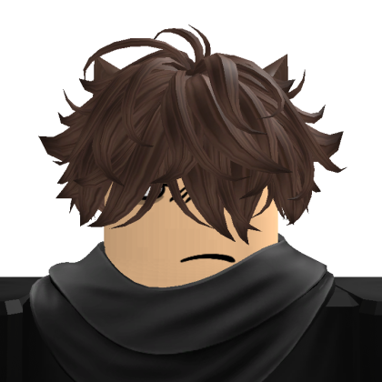 Roblox profile picture for @loran