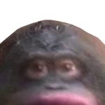 @marmsorcereroner
