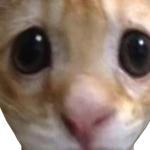 @TBH1ZZYXO