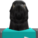 @Bluebearr0
