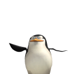 @coolfreak164