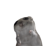 @ppppp6y3