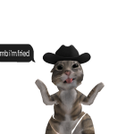 @Fraptor2009