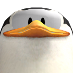 @PetiteHare