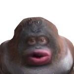 @milsondt