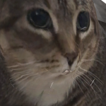 @CaseyTh3GamerCJ