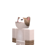 @notethanroblox11