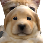@NeedDarckYT