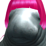@chnndlerbing