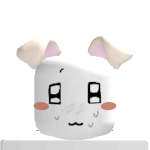 @cccvvvc