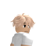@rebrick511