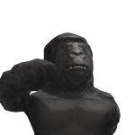 Mr_Monkey