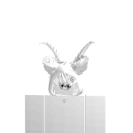 qwerty_play2008's avatar