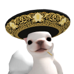 @Monkexc