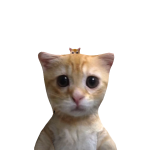 @minou2331