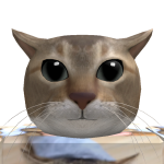 @cat26881