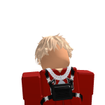 @thegamer_227