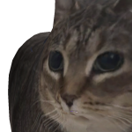 @HAIP33PS