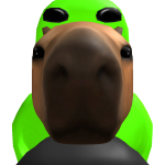 @jachun20