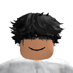 @55kSylvain
