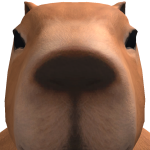 albertorro_8