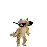 @Furry_cheetah1