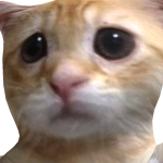 @sugarday1