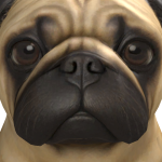 @ThIAgOChOlItO