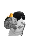 @roblox_user_2329497836