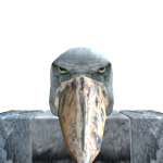@AngryGreenWyvern