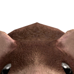 @Ryanjse147348