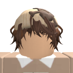 @robloxGEIMERy