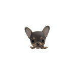@Aesthetic_Cow123Cute
