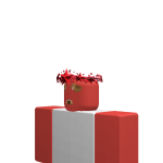 @r7eyj