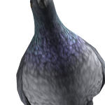 @Keyboard_2025