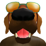 @DoogLeader