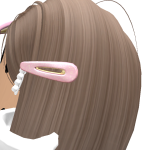 @Roblox667e11