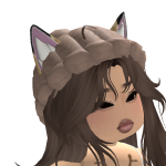 @ninjaponiez101