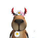 @me_capybara