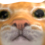 @roblox_user_475326852