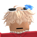 @roblox_user_3721211750
