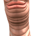@Cheesebota