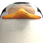 @Seethuskcha